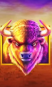Buffalo King